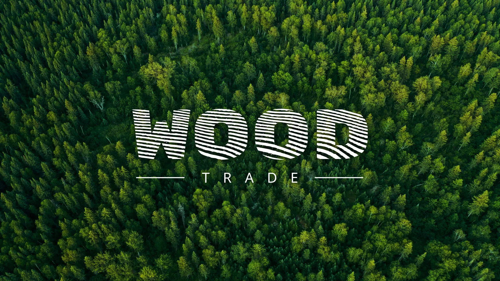 Разработка интернет-магазина компании «Wood Trade» в Липках
