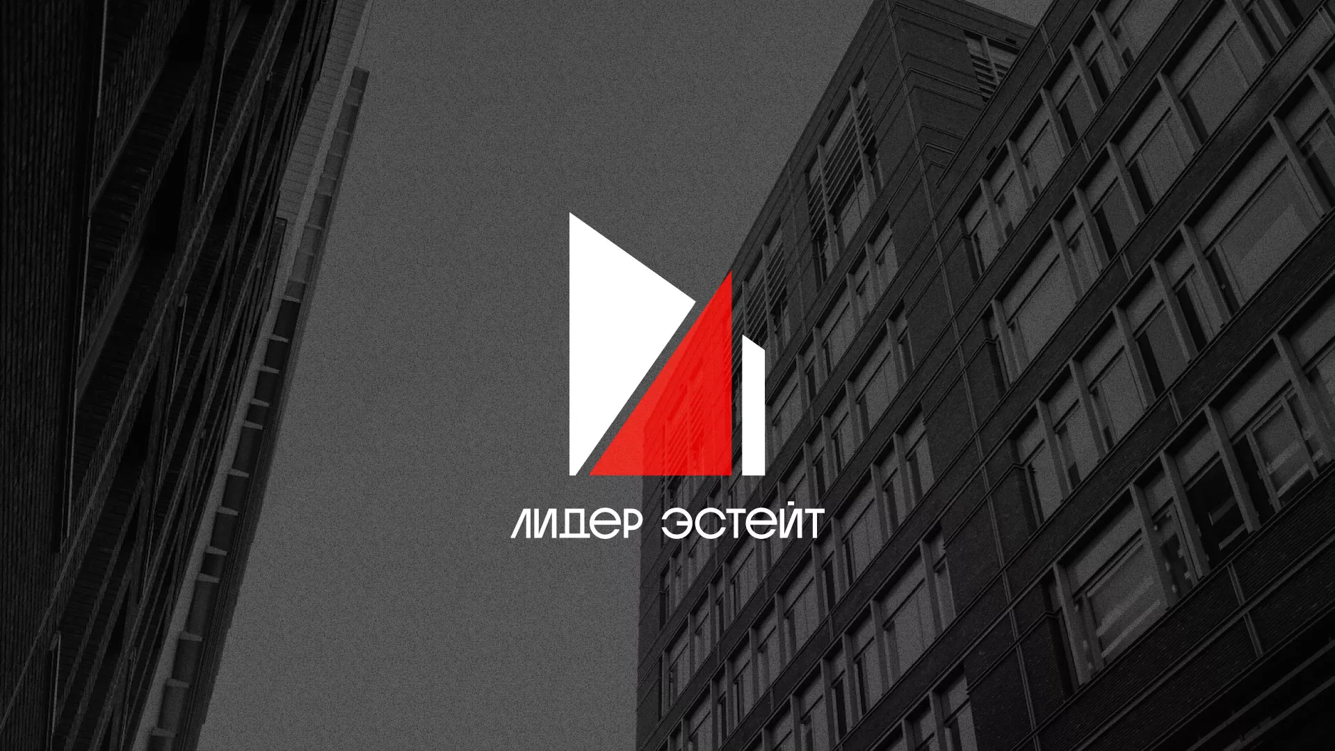 Сделали логотип для агентства недвижимости «Лидер Эстейт» в Липках